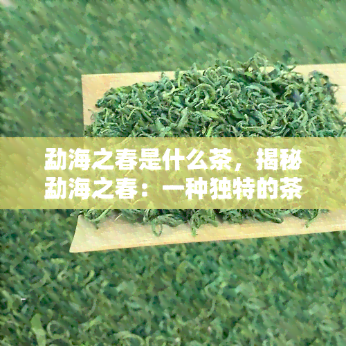 勐海之春是什么茶，揭秘勐海之春：一种独特的茶叶品种