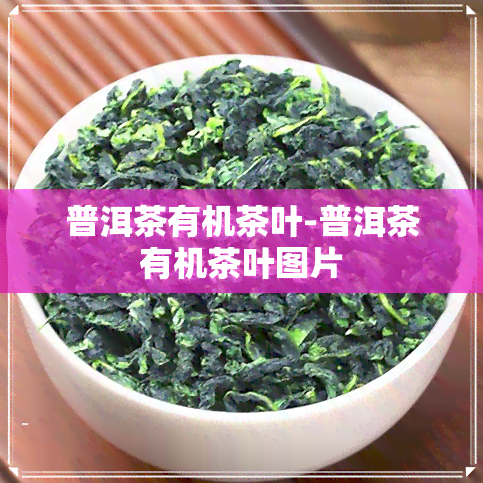 普洱茶有机茶叶-普洱茶有机茶叶图片