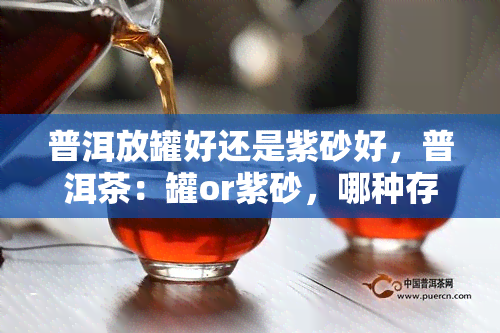 普洱放罐好还是紫砂好，普洱茶：罐or紫砂，哪种存放方式更好？