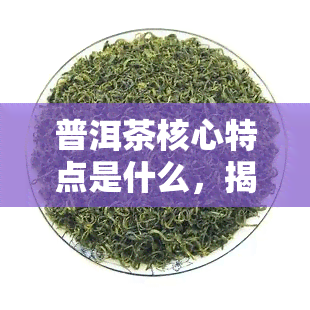 普洱茶核心特点是什么，揭示普洱茶的独特魅力：其核心特点是什么？