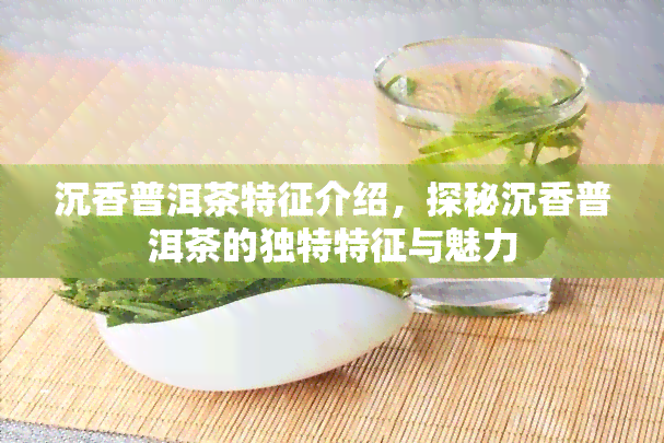 沉香普洱茶特征介绍，探秘沉香普洱茶的独特特征与魅力