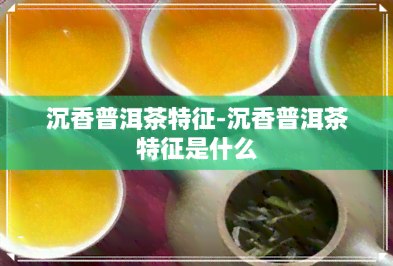 沉香普洱茶特征-沉香普洱茶特征是什么