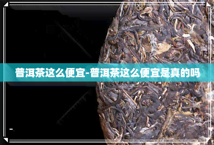 普洱茶这么便宜-普洱茶这么便宜是真的吗