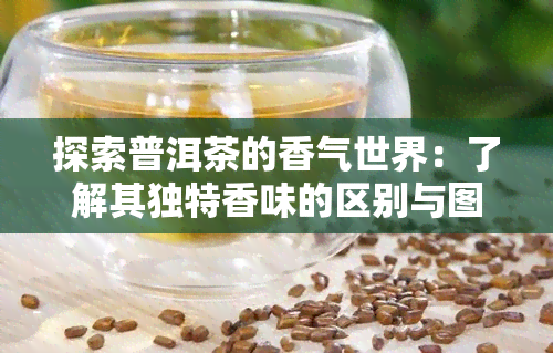 探索普洱茶的香气世界：了解其独特香味的区别与图片展示