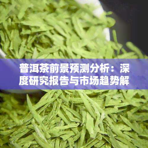 普洱茶前景预测分析：深度研究报告与市场趋势解析