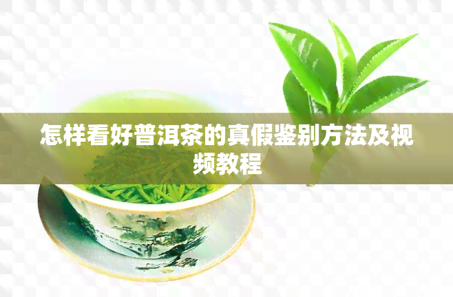 怎样看好普洱茶的真假鉴别方法及视频教程