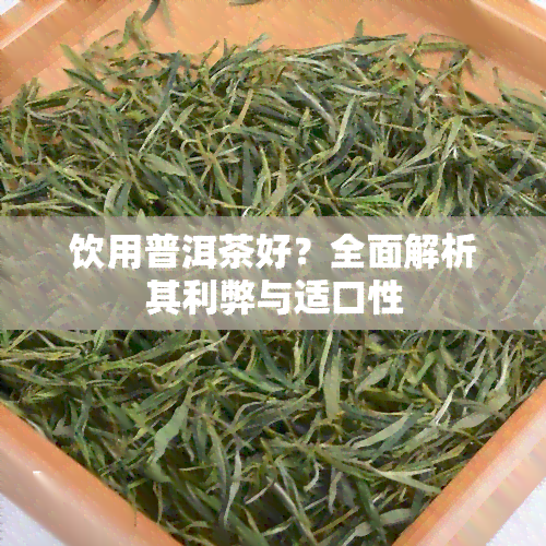 饮用普洱茶好？全面解析其利弊与适口性