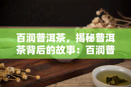 百润普洱茶，揭秘普洱茶背后的故事：百润普洱茶的创业历程