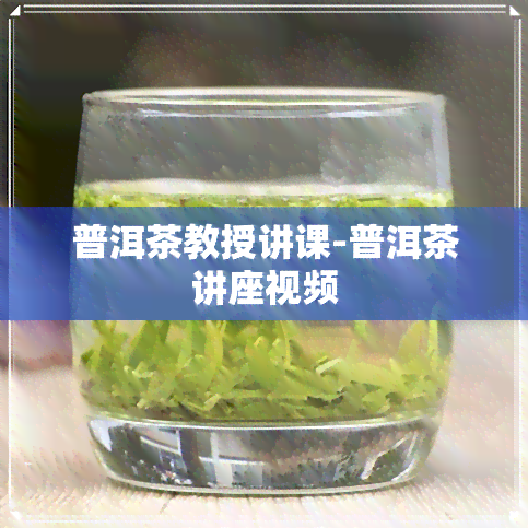 普洱茶教授讲课-普洱茶讲座视频