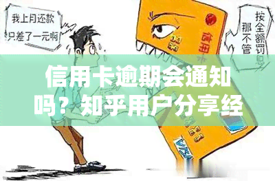 信用卡逾期会通知吗？知乎用户分享经验与建议