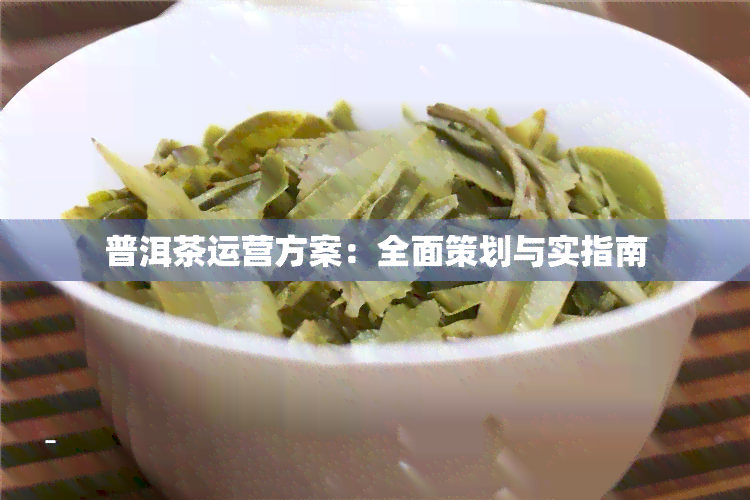 普洱茶运营方案：全面策划与实指南