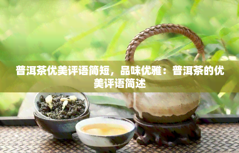 普洱茶优美评语简短，品味优雅：普洱茶的优美评语简述