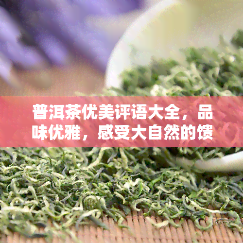 普洱茶优美评语大全，品味优雅，感受大自然的馈赠——普洱茶优美评语大全