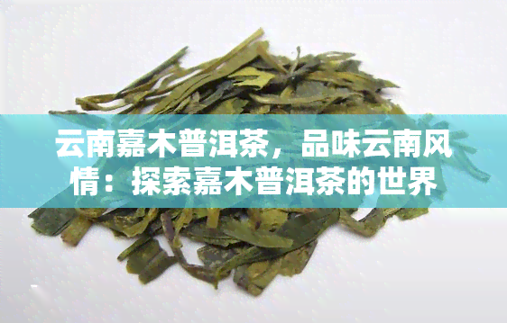 云南嘉木普洱茶，品味云南风情：探索嘉木普洱茶的世界