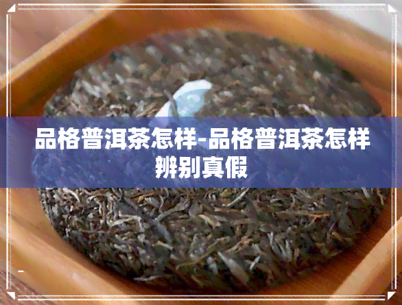 品格普洱茶怎样-品格普洱茶怎样辨别真假