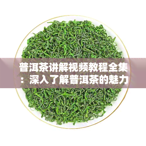 普洱茶讲解视频教程全集：深入了解普洱茶的魅力