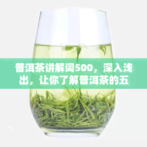 普洱茶讲解词500，深入浅出，让你了解普洱茶的五大特点及其制作过程