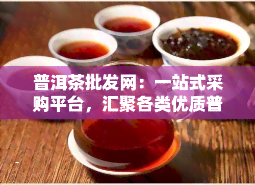 普洱茶批发网：一站式采购平台，汇聚各类优质普洱茶！