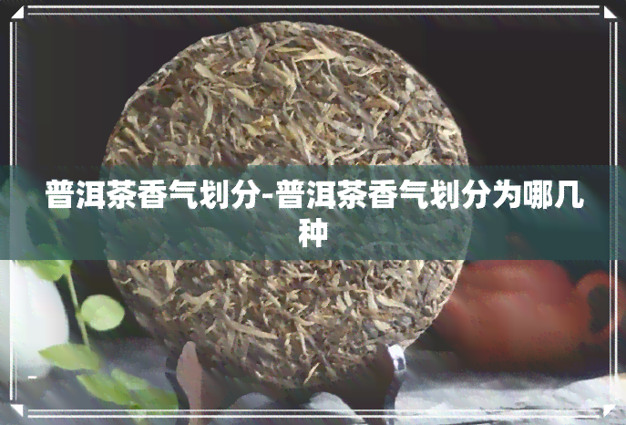 普洱茶香气划分-普洱茶香气划分为哪几种