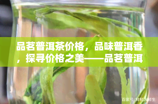 品茗普洱茶价格，品味普洱香，探寻价格之美——品茗普洱茶价格全解析