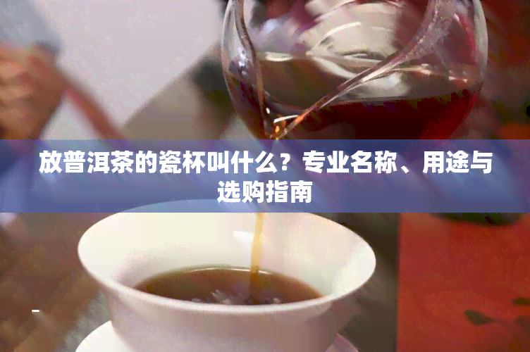 放普洱茶的瓷杯叫什么？专业名称、用途与选购指南