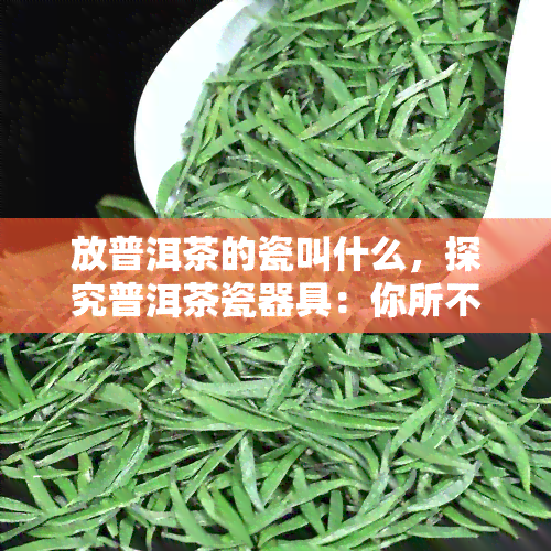 放普洱茶的瓷叫什么，探究普洱茶瓷器具：你所不知道的名字与故事