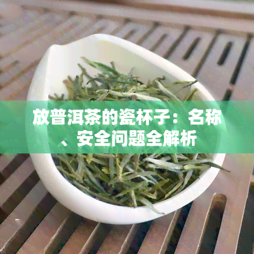 放普洱茶的瓷杯子：名称、安全问题全解析