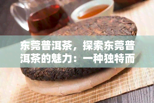 东莞普洱茶，探索东莞普洱茶的魅力：一种独特而丰富的茶文化体验