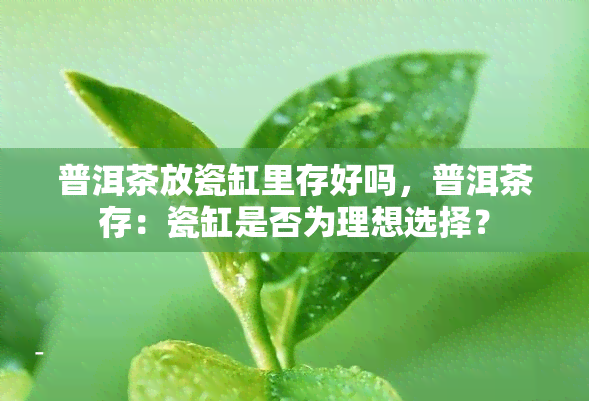 普洱茶放瓷缸里存好吗，普洱茶存：瓷缸是否为理想选择？