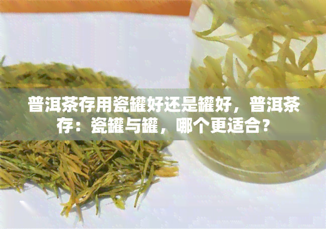 普洱茶存用瓷罐好还是罐好，普洱茶存：瓷罐与罐，哪个更适合？