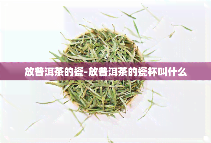 放普洱茶的瓷-放普洱茶的瓷杯叫什么