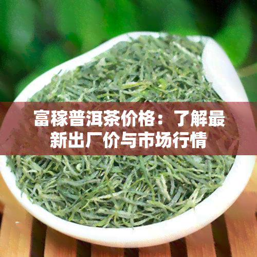 富稼普洱茶价格：了解最新出厂价与市场行情