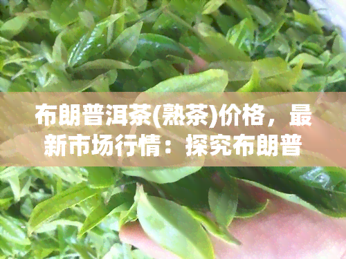 布朗普洱茶(熟茶)价格，最新市场行情：探究布朗普洱茶（熟茶）的价格走势