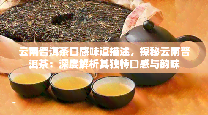 云南普洱茶口感味道描述，探秘云南普洱茶：深度解析其独特口感与韵味