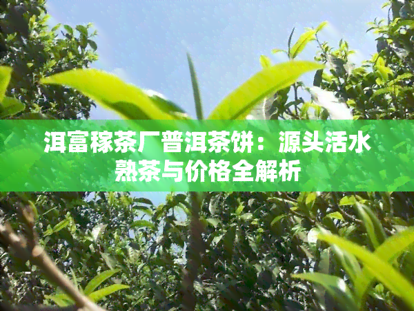 洱富稼茶厂普洱茶饼：源头活水熟茶与价格全解析