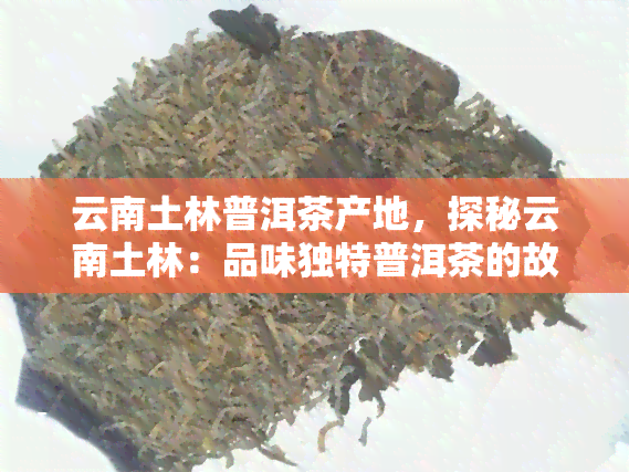 云南土林普洱茶产地，探秘云南土林：品味独特普洱茶的故乡