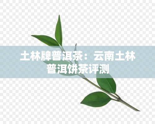 土林牌普洱茶：云南土林普洱饼茶评测