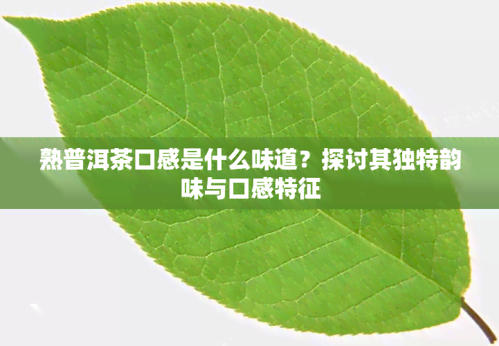 熟普洱茶口感是什么味道？探讨其独特韵味与口感特征