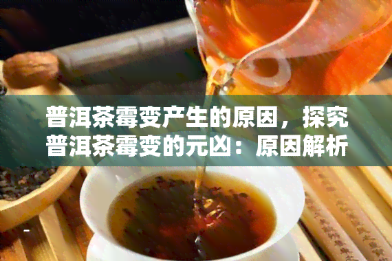 普洱茶霉变产生的原因，探究普洱茶霉变的元凶：原因解析