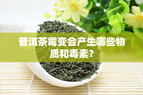 普洱茶霉变会产生哪些物质和素？