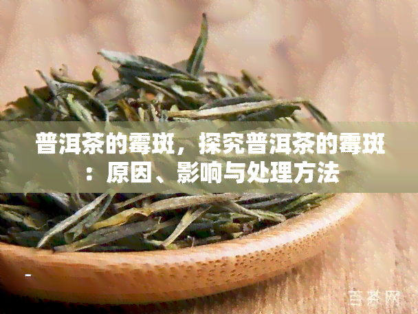 普洱茶的霉斑，探究普洱茶的霉斑：原因、影响与处理方法