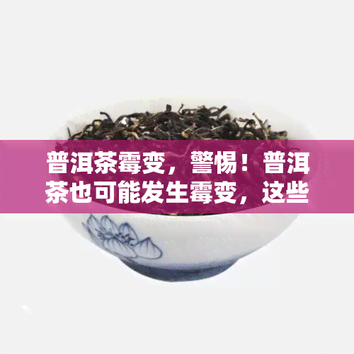 普洱茶霉变，警惕！普洱茶也可能发生霉变，这些知识你不可不知