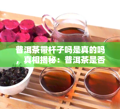 普洱茶带杆子吗是真的吗，真相揭秘：普洱茶是否真的带有杆子？