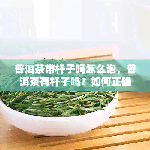 普洱茶带杆子吗怎么泡，普洱茶有杆子吗？如何正确冲泡？