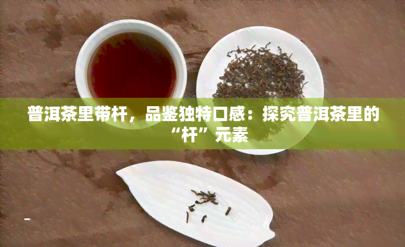 普洱茶里带杆，品鉴独特口感：探究普洱茶里的“杆”元素