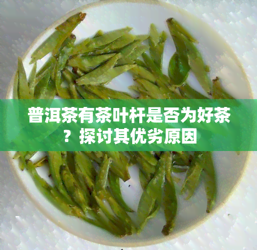 普洱茶有茶叶杆是否为好茶？探讨其优劣原因