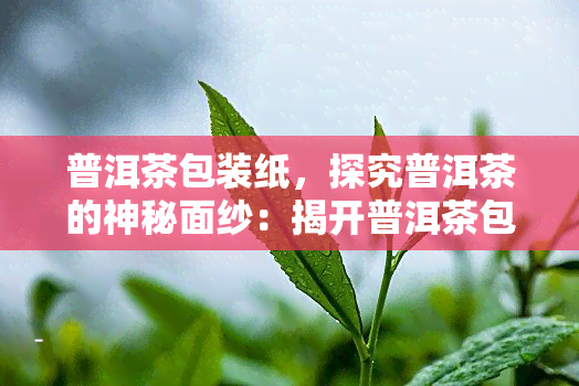 普洱茶包装纸，探究普洱茶的神秘面纱：揭开普洱茶包装纸的秘密