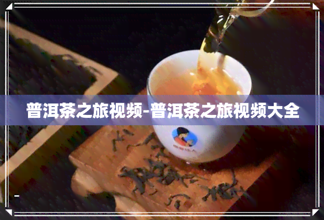 普洱茶之旅视频-普洱茶之旅视频大全