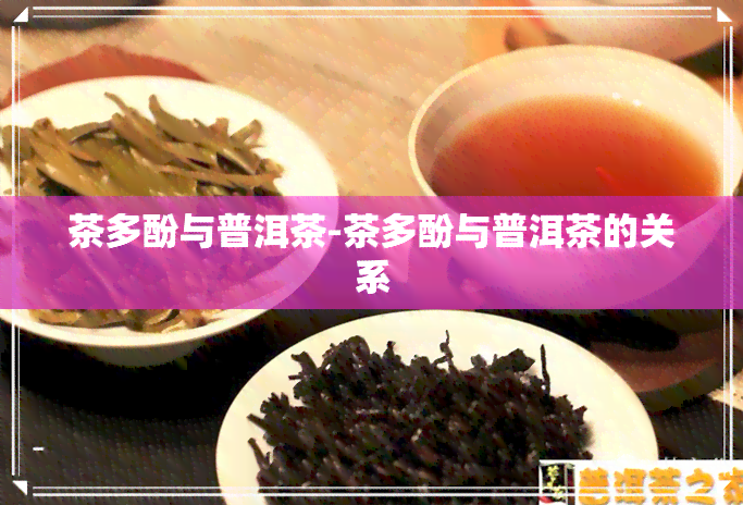 茶多酚与普洱茶-茶多酚与普洱茶的关系