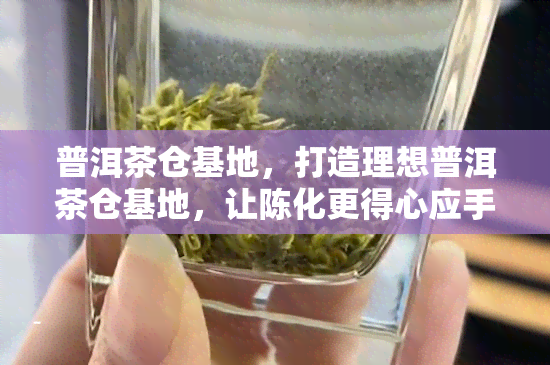 普洱茶仓基地，打造理想普洱茶仓基地，让陈化更得心应手！